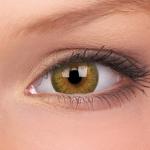 TruBlends Brown Soft Contact Lens