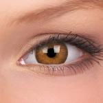 TruBlends Hazel Soft Contact Lens